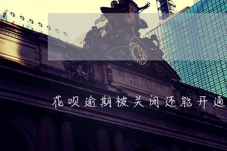 花呗逾期被关闭还能开通吗