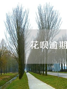 花呗逾期被关闭还能用吗