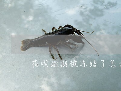 花呗逾期被冻结了怎么快速解开 花呗逾期被冻结了怎么快速解开