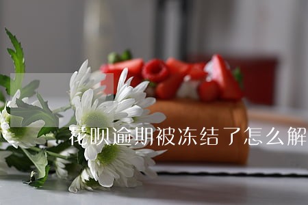 花呗逾期被冻结了怎么解封