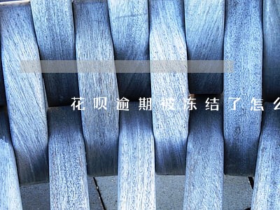 花呗逾期被冻结了怎么还款 花呗逾期被冻结了怎么还款