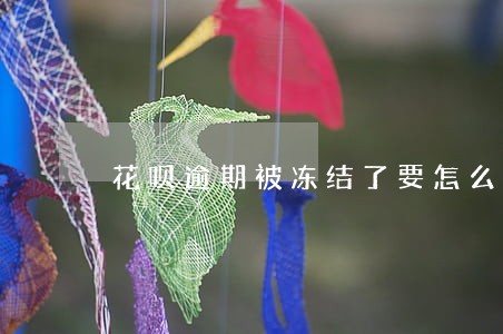 花呗逾期被冻结了要怎么恢复 花呗逾期被冻结了要怎么恢复