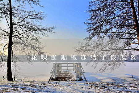 花呗逾期被冻结了该怎么办 花呗逾期被冻结了该怎么办