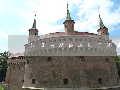 花呗逾期被冻结了还能开通吗 花呗逾期被冻结了还能开通吗