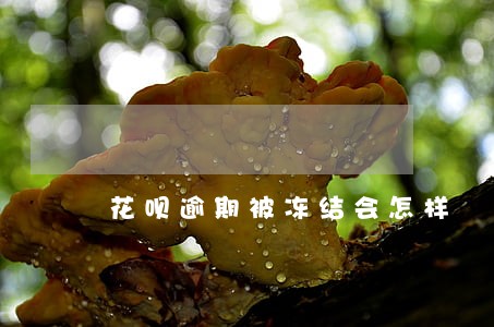 花呗逾期被冻结会怎样 花呗逾期被冻结会怎样