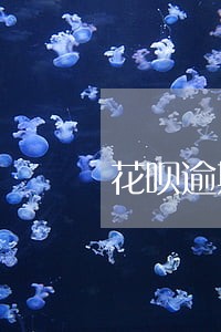 花呗逾期被冻结可以人工干预不
