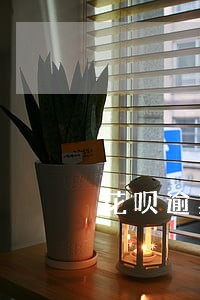 花呗逾期被冻结可以租机吗 花呗逾期被冻结可以租机吗