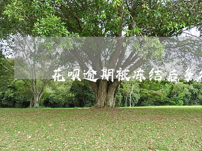 花呗逾期被冻结后多久才能开 花呗逾期被冻结后多久才能开