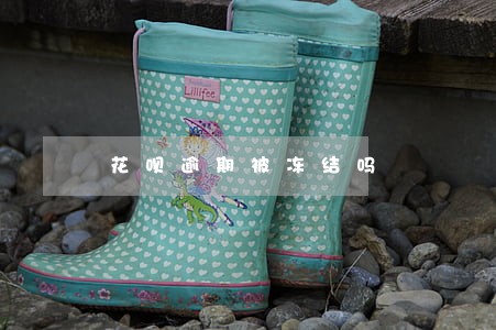花呗逾期被冻结吗 花呗逾期被冻结吗