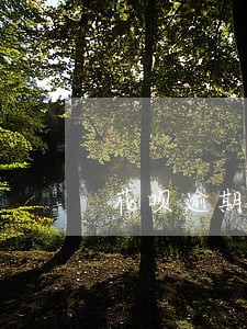 花呗逾期被冻结多久才解封