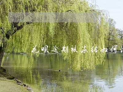 花呗逾期被冻结如何恢复 花呗逾期被冻结如何恢复