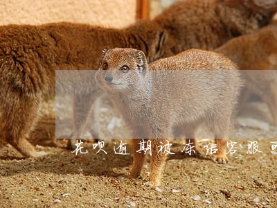 花呗逾期被冻结客服可以解决