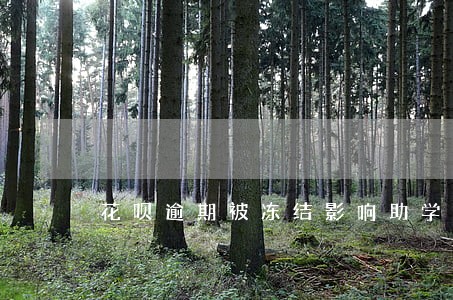 花呗逾期被冻结影响助学贷款吗 花呗逾期被冻结影响助学贷款吗