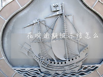 花呗逾期被冻结怎么 花呗逾期被冻结怎么