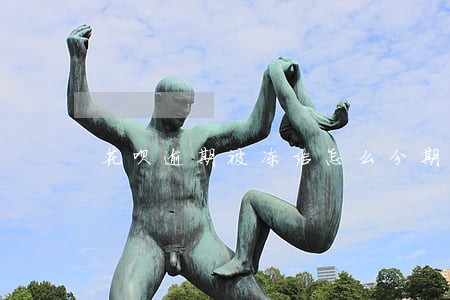 花呗逾期被冻结怎么分期 花呗逾期被冻结怎么分期