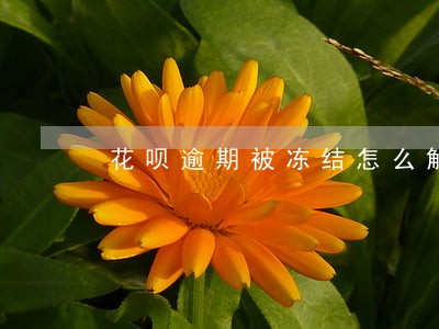 花呗逾期被冻结怎么解封 花呗逾期被冻结怎么解封