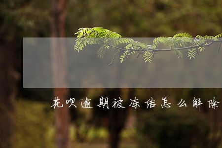 花呗逾期被冻结怎么解除 花呗逾期被冻结怎么解除