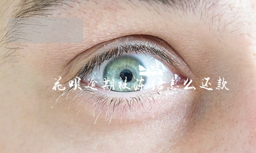 花呗逾期被冻结怎么还款 花呗逾期被冻结怎么还款