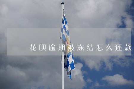花呗逾期被冻结怎么还款吗 花呗逾期被冻结怎么还款吗