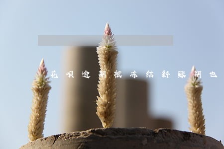 花呗逾期被冻结新账期也没有解除 花呗逾期被冻结新账期也没有解除