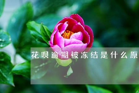 花呗逾期被冻结是什么原因 花呗逾期被冻结是什么原因