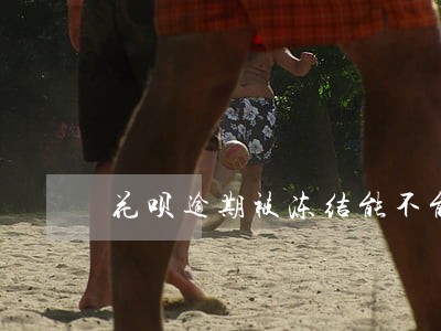 花呗逾期被冻结能不能申请解冻 花呗逾期被冻结能不能申请解冻