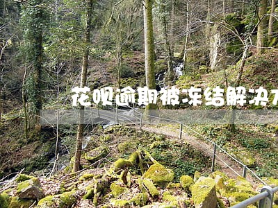 花呗逾期被冻结解决方法 花呗逾期被冻结解决方法