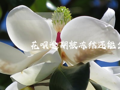 花呗逾期被冻结还能坐高铁吗 花呗逾期被冻结还能坐高铁吗