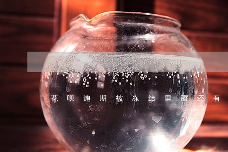 花呗逾期被冻结里面还有可用额度 花呗逾期被冻结里面还有可用额度