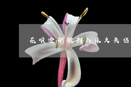 花呗逾期被列入永久失信 花呗逾期被列入永久失信