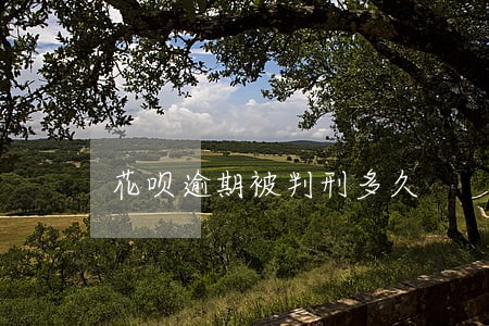花呗逾期被判刑多久 花呗逾期被判刑多久