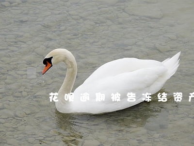 花呗逾期被告冻结资产