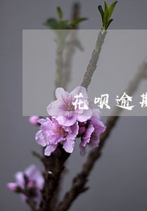 花呗逾期被告是真的吗 花呗逾期被告是真的吗