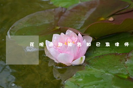 花呗逾期被告知已发律师函怎么办 花呗逾期被告知已发律师函怎么办