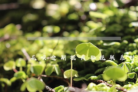花呗逾期被威胁说联系村委会 花呗逾期被威胁说联系村委会