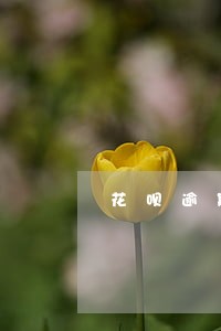 花呗逾期被封一年后又重新开了 花呗逾期被封一年后又重新开了