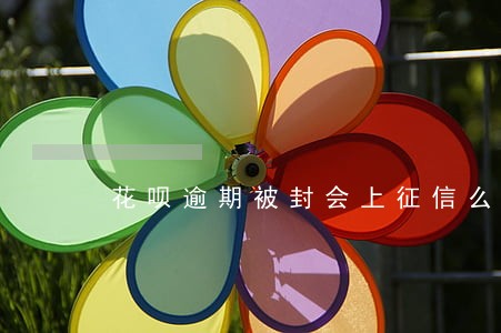 花呗逾期被封会上征信么 花呗逾期被封会上征信么