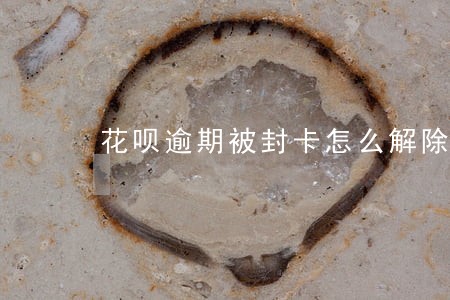 花呗逾期被封卡怎么解除