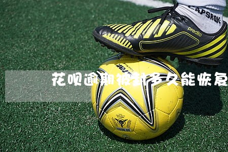 花呗逾期被封多久能恢复 花呗逾期被封多久能恢复