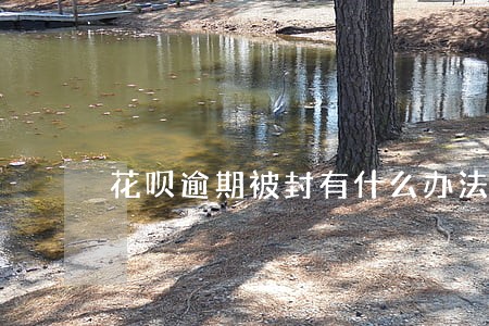 花呗逾期被封有什么办法恢复 花呗逾期被封有什么办法恢复
