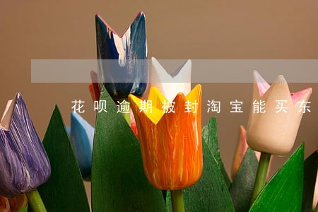 花呗逾期被封淘宝能买东西吗 花呗逾期被封淘宝能买东西吗