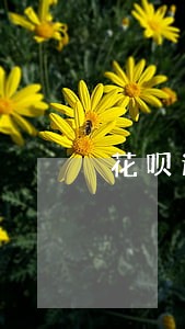 花呗逾期被封的页面图片 花呗逾期被封的页面图片