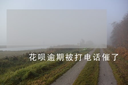 花呗逾期被打电话催了 花呗逾期被打电话催了