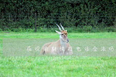 花呗逾期被打电话合法吗 花呗逾期被打电话合法吗