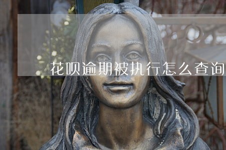 花呗逾期被执行怎么查询