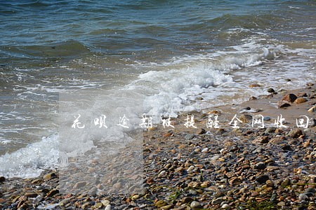 花呗逾期被提醒全网收回 花呗逾期被提醒全网收回