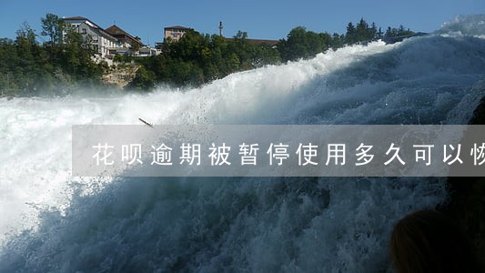 花呗逾期被暂停使用多久可以恢复 花呗逾期被暂停使用多久可以恢复