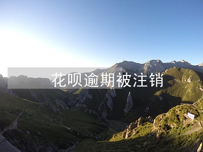花呗逾期被注销 花呗逾期被注销
