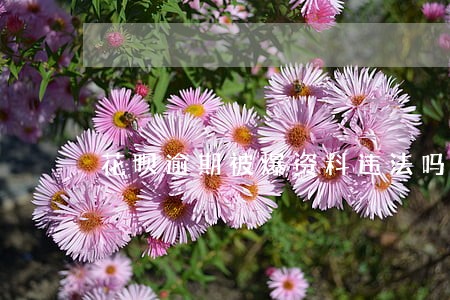 花呗逾期被爆资料违法吗 花呗逾期被爆资料违法吗