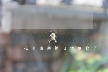 花呗逾期被电话催收了 花呗逾期被电话催收了